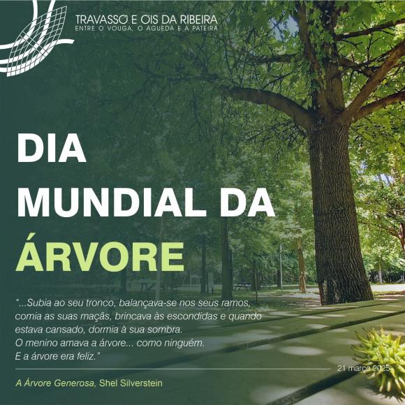 Hoje é o Dia Mundial da Árvore 