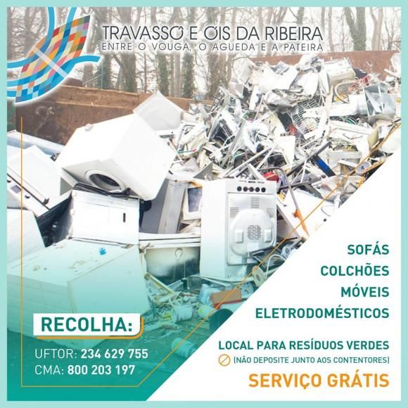 Recolha de monos