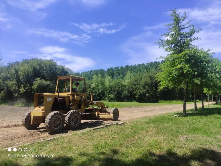 Arranjos de caminhos agrícolas e florestais