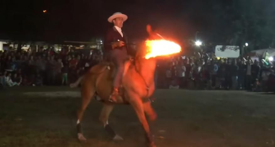 Vídeo do espectáculo equestre da Caudelaria Irmãos Malafaia