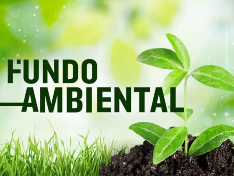Fundo Ambiental
