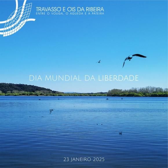 Dia Mundial da Liberdade