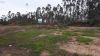 Parques de Recolha de Verdes