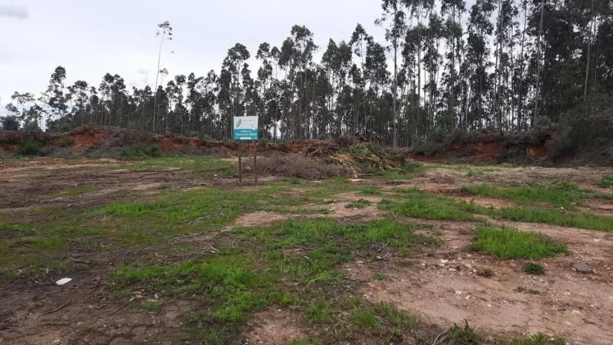 Parques de Recolha de Verdes