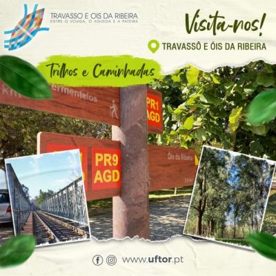 Visite-nos!