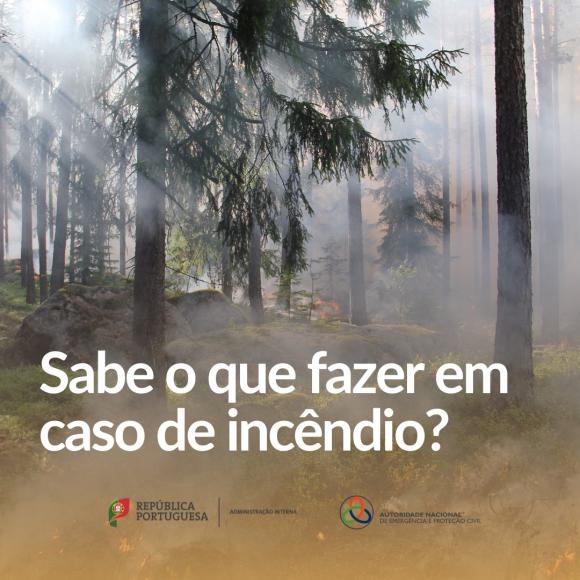 Sabe o que fazer em caso de incêndio? Sabe o que fazer em caso de incêndio?