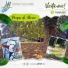 Visite-nos!